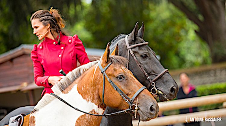 CHEVAL EN FESTIVAL – Equestria : une référence internationale à Tarbes